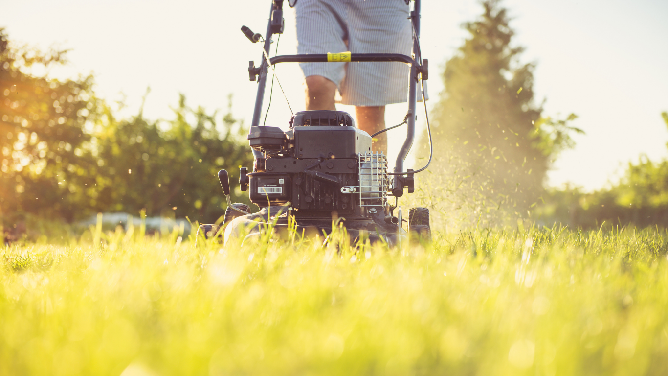 Globinsko čiščenje doma